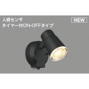 岩崎電気 ESP14003/BK (ESP14003BK) 屋外スポットライト＞ 屋外