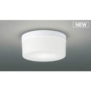 AU54108 コイズミ 浴室灯 乳白色 LED（昼白色） (AU45038L 類似品)｜e-connect