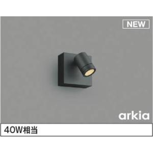 AU54583 コイズミ 屋外用スポットライト LED（電球色） 中角 (AU47328L 後継品)