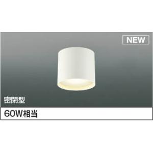 Panasonic（パナソニック） NNFW21800KLE9 屋外用ウォールライト 20形
