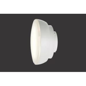 RAD847F 遠藤照明 LEDZランプ ディスク100 電球色 超広角 (GX53-1a)