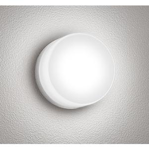 OG254981NR オーデリック 浴室灯・屋外用ブラケットライト シルバー LED（昼白色）