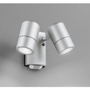 OG264230NR オーデリック 屋外用スポットライト 2灯 シルバー LED（昼白色） センサー付 (OG254638NR 後継品)