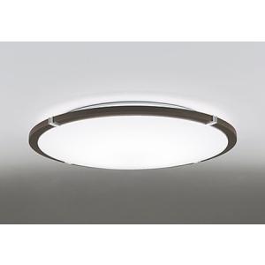 ODELIC OG044136 オーデリック 屋外用スポットライト シルバー ランプ