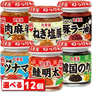 丸美屋 のっけるふりかけ100g瓶シリーズ お好み12個