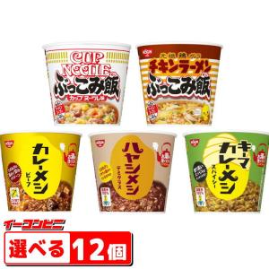 日清 カレーメシ ハヤシメシ ぶっこみ飯 6食入 選べる2ケース