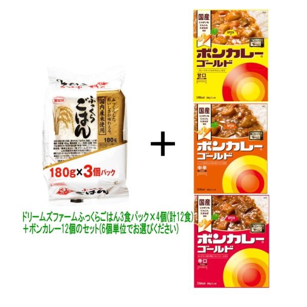 カレーライス　12食セット（レトルトごはん12個+レトルトカレー12個） 『送料無料(沖縄・離島除く...