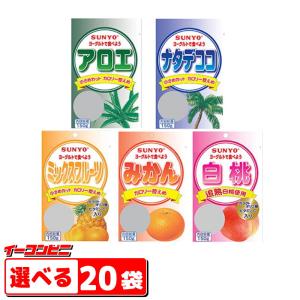 サンヨー堂 ヨーグルトで食べよう 150g 選べる24個 パウチ入りフルーツ