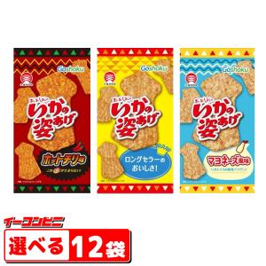 合食 大塩するめ いかの姿あげ選べる12袋  イカフライ