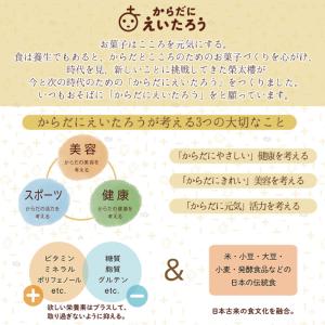 榮太樓 糖質をおさえたようかん 27g 組み合...の詳細画像2