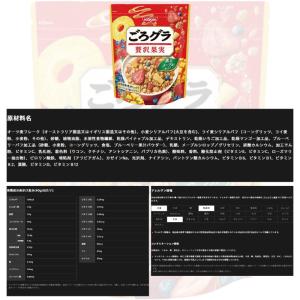 【6種類】日清シスコ ごろグラ 280g〜32...の詳細画像5