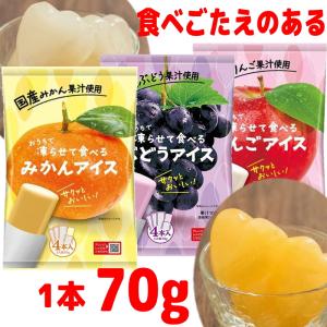 谷尾食品 国産果汁使用 おうちで凍らせて食べる...の詳細画像1