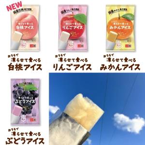 谷尾食品 国産果汁使用 おうちで凍らせて食べる...の詳細画像3