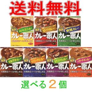 グリコ　カレー職人　170g　選べる２個　レトルトカレー 『ネコポス送料無料(代引き別途送料)』