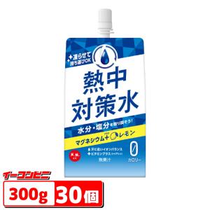 赤穂化成　熱中対策水パウチ　レモン味　300g　1ケース（30個）　熱中症対策　スポーツドリンク｜e-convini