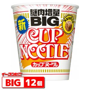 カップヌードル 日清 BIG（ビッグ） 4種各3個セット （計12個） 大盛