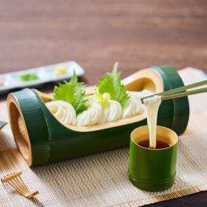 はたけなか製麺 白石温麺 (100g×3束入)...の詳細画像2