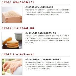 立正堂 純米こわれせん 220gx6袋 割れ純...の詳細画像1
