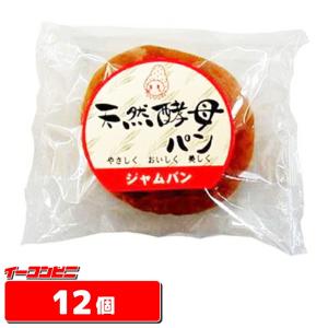 デイプラス 天然酵母パン 12種詰め合わせセット ×12個入｜ 送料無料