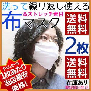 本日限りの限定価格 送料無料 夏用マスク 布マスク  白マスク 洗えるマスク 夏マスク ホワイト 2枚セット