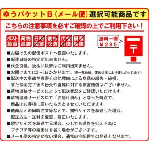 カラフル コロピカ どろだんご 制作キット 泥...の詳細画像2