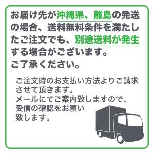 塗料 FRPマリン 4kg モスグリーン 日本...の詳細画像5