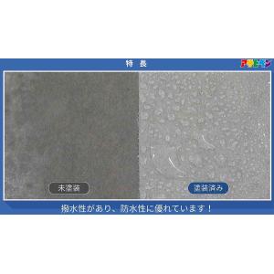 水性 超強力ウレタン防水材 リークナイン 透明...の詳細画像3