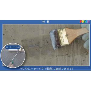 水性 超強力ウレタン防水材 リークナイン 透明...の詳細画像4