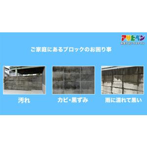塗料 水性ブロックステイン 2L ホワイト ア...の詳細画像3