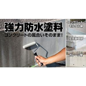 防水塗料 ガッツモルタルNo.1 2kg ライ...の詳細画像2