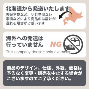 塗料 弾性ブロック外カベ用S スモークグレー ...の詳細画像2