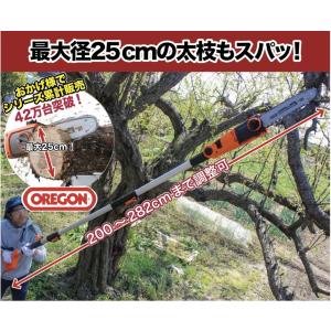 チェーンソー YARDFORCE 高枝切り電動...の詳細画像1