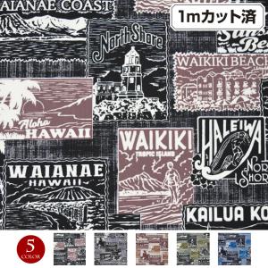 ハワイアン生地サンプル リーフレイ×カヒコ柄 KH-672 : emika - 通販