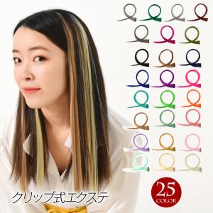 ワンタッチ エクステ ウィッグ クリップ式エクステ ポイントエクステ ヘアーアクセ メッシュ インナーカラー V34GW1 [M便 1/20]