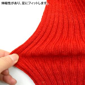 ダンス小物 HA41248 カラーレッグウォー...の詳細画像3