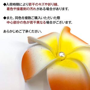 フラダンス衣装 アクセサリー ステージ衣装 ヘ...の詳細画像4