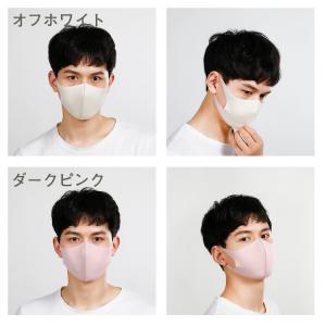 マスク 新入荷 4枚セット 夏新色追加 接触冷...の詳細画像4