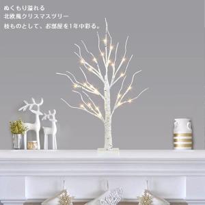 クリスマスツリー ブランチツリー 60cm 北...の詳細画像1
