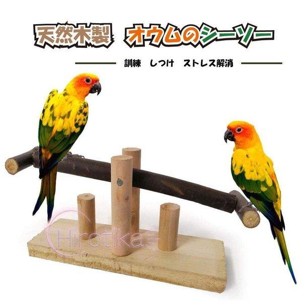 小鳥 インコ オウム シーソー ストレス解消 しつけ 訓練 学習 遊び 運動 ストレス解消