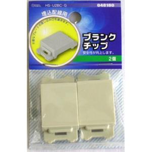 オーム電機 ブランクチップ ２個入り [品番]04-8180｜e-dennet