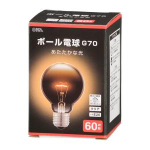 Panasonic パナソニック 長寿命シリカ電球（一般電球） 60形