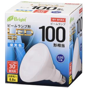 Panasonic（パナソニック） スタジオ用ハロゲン電球 JP100V500WB/G-2
