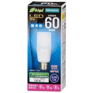 Panasonic（パナソニック） マルチハロゲン灯 MF200L/BUSC-P/N