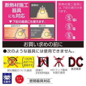 オーム電機 LDA6L-G-E17 AG6 L...の詳細画像2
