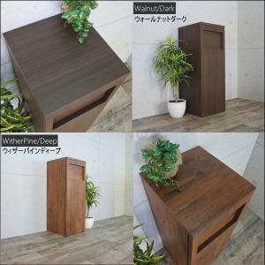 ゴミ箱 45リットル おしゃれ 完成品 スリム...の詳細画像4