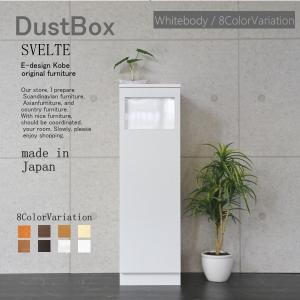 宮武製作所 ゴミ箱 ごみ箱 おしゃれ 2連式 45リットル 分別 幅50 DB