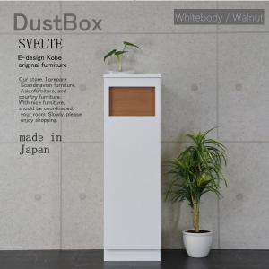 ゴミ箱 おしゃれ キッチン 45リットル スリム ゴミ箱 分別