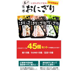 防災 食品 中身だけ ごはん おにぎり 5年保...の詳細画像1