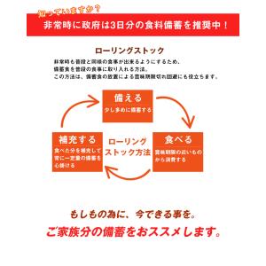防災 食品 中身だけ ごはん おにぎり 5年保...の詳細画像3