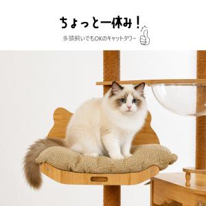 キャットタワー 木製 宇宙船 大型 スリム 猫...の詳細画像4